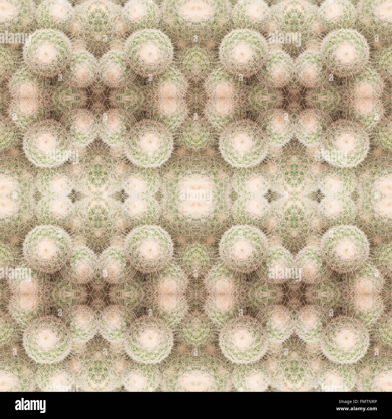 Piante succulente pattern seamless sfondo Foto Stock