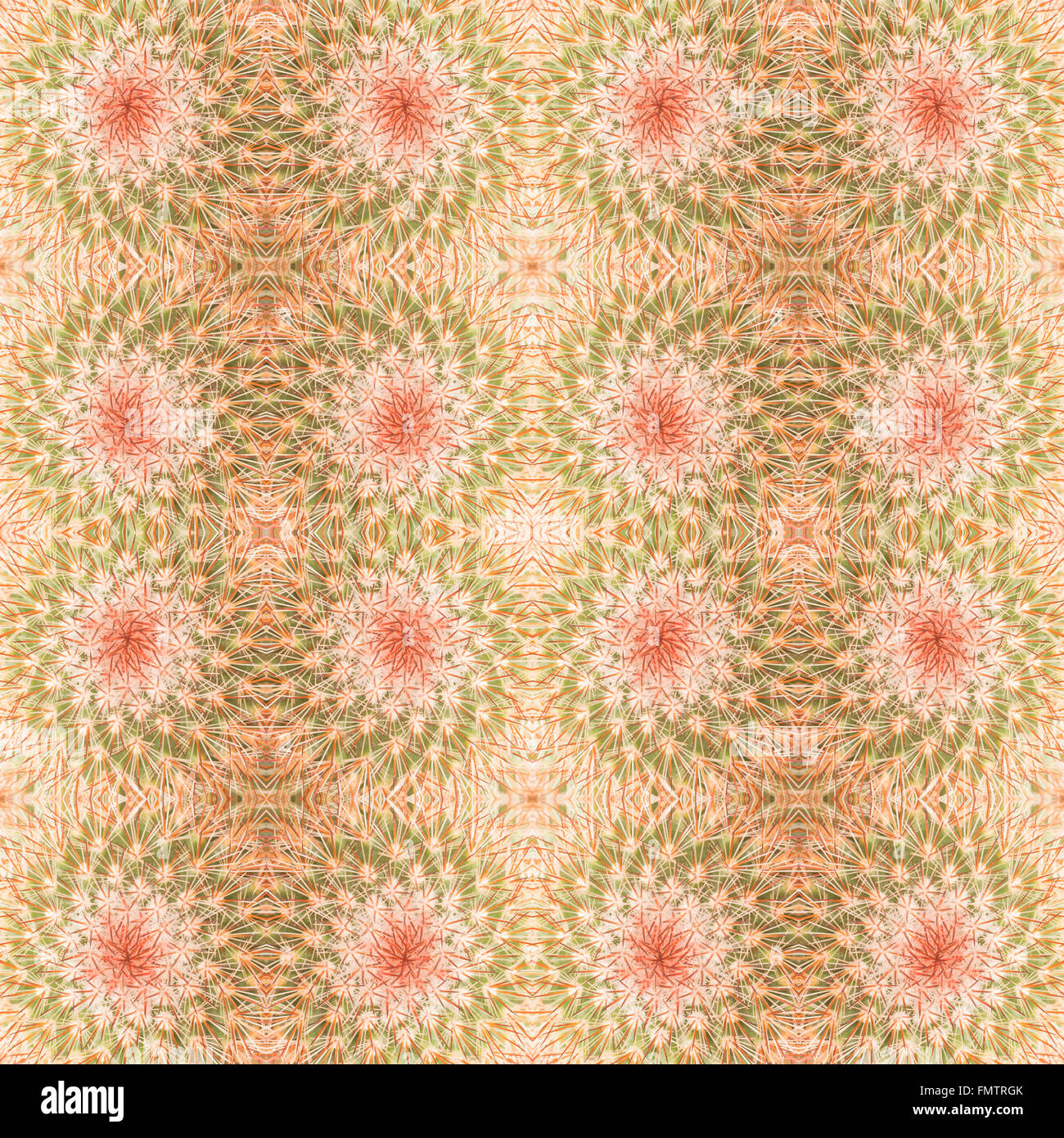 Piante succulente pattern seamless sfondo Foto Stock