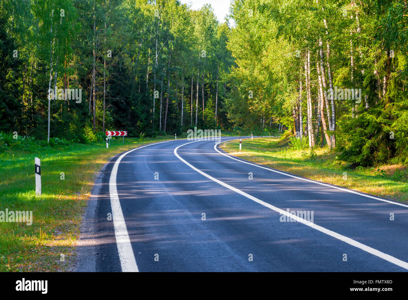 Curva pericolosa strada per automobili nella zona forestale Foto Stock