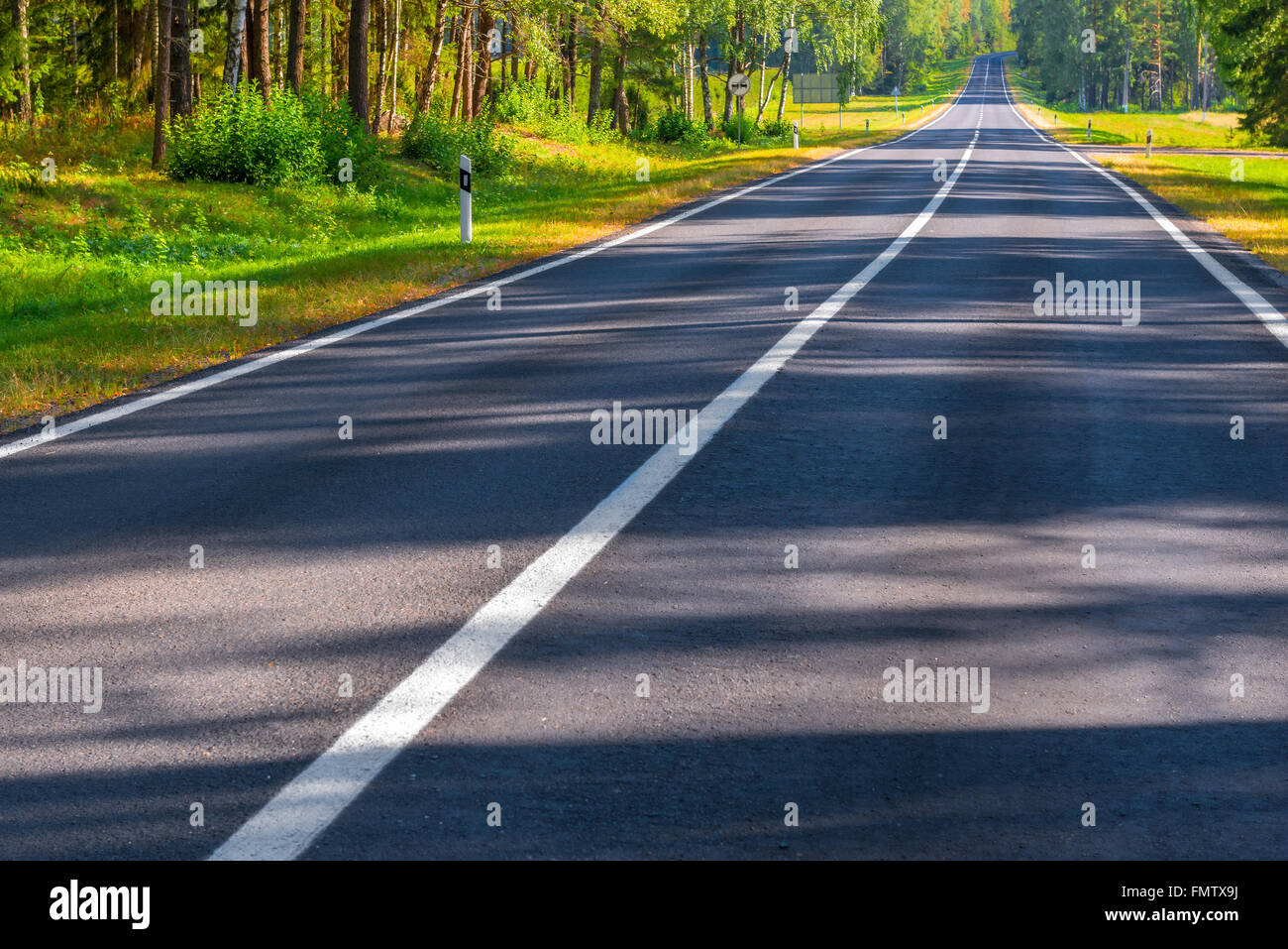 Svuotare le strade di campagna, all'alba nel bosco Foto Stock