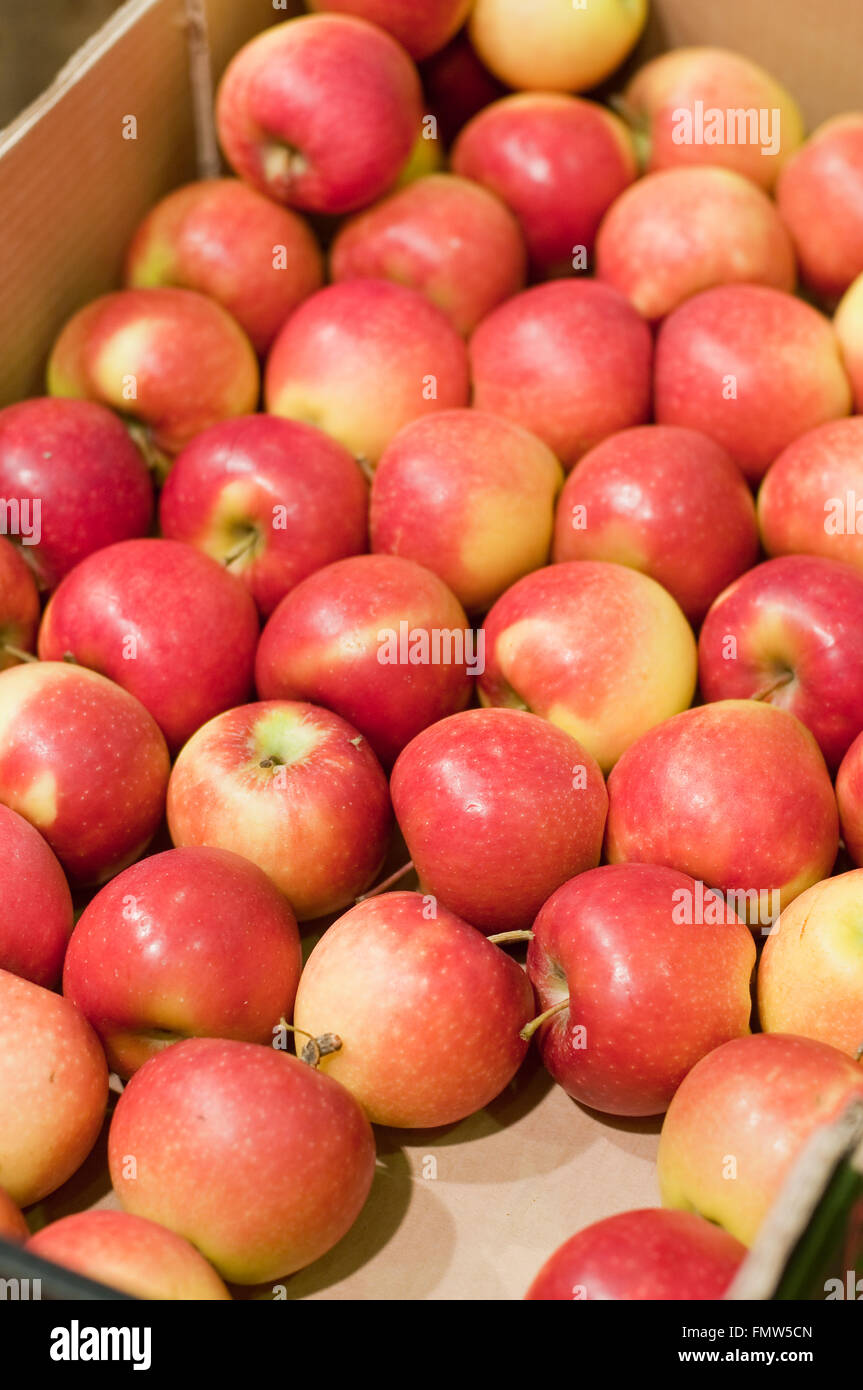 Papper scatola contenente le mele rosse,frutta Foto Stock