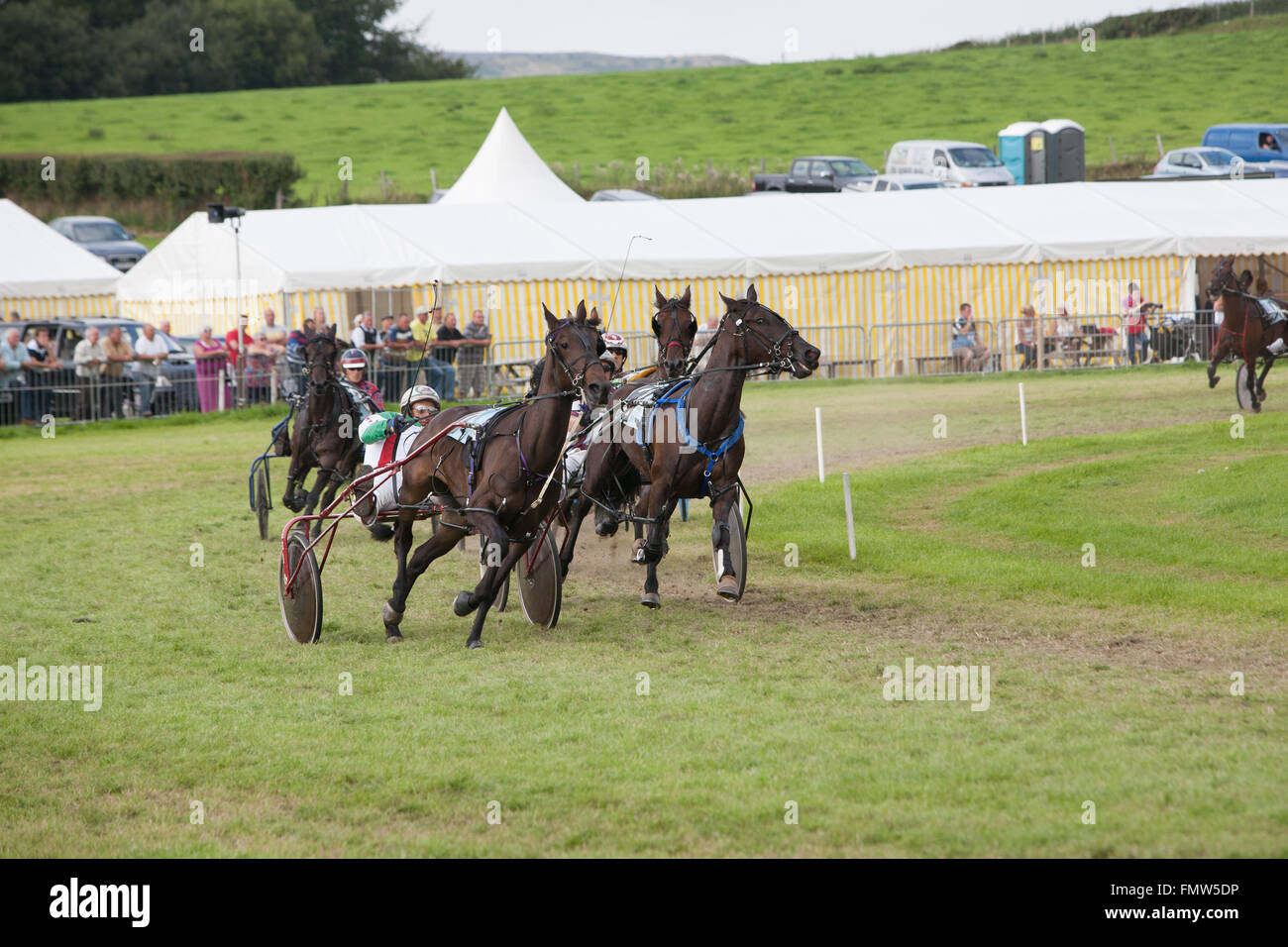 Cablaggio horse racing a Tregaron,Ceredigion,Galles,U.K.,l'Europa Foto Stock