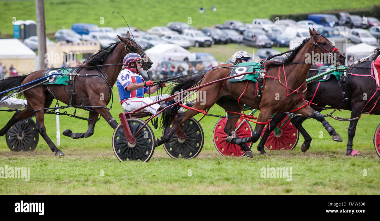 Cablaggio horse racing a Tregaron,Ceredigion,Galles,U.K.,l'Europa Foto Stock