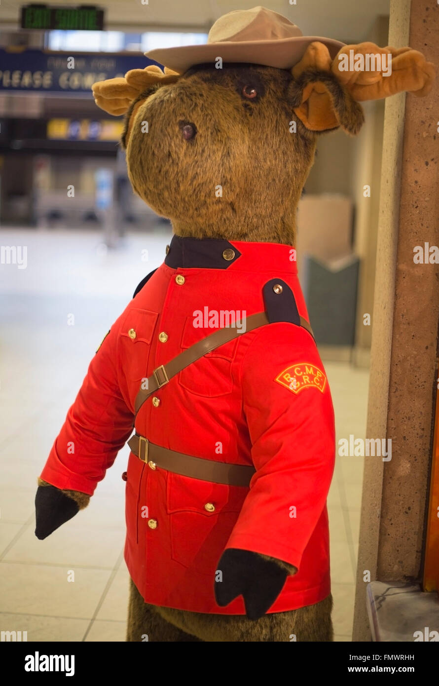 Moose vestito come un canadese Mountie all aeroporto di Calgary Foto Stock