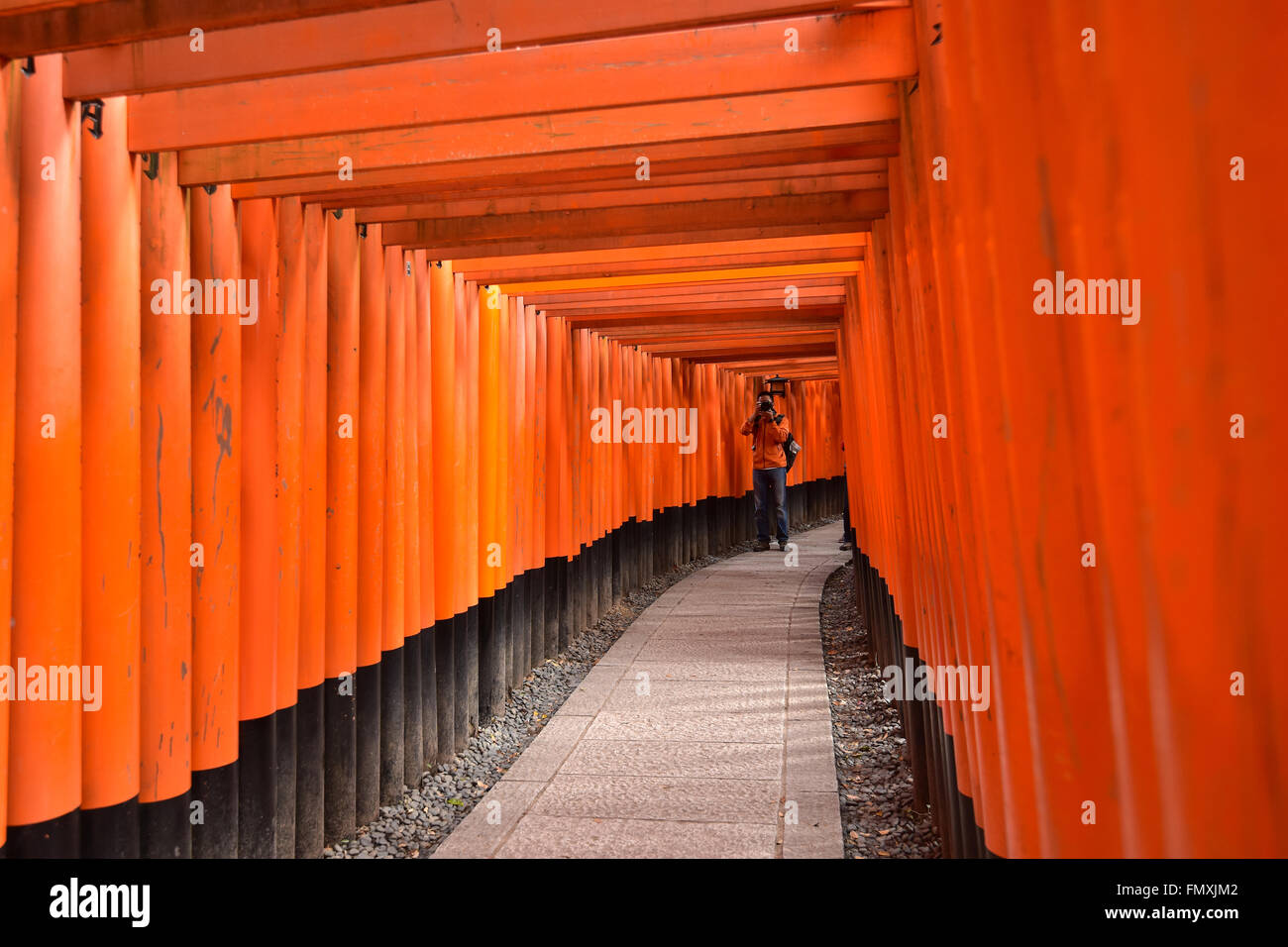 Fushimi Inari Taisha a Kyoto, Giappone Foto Stock