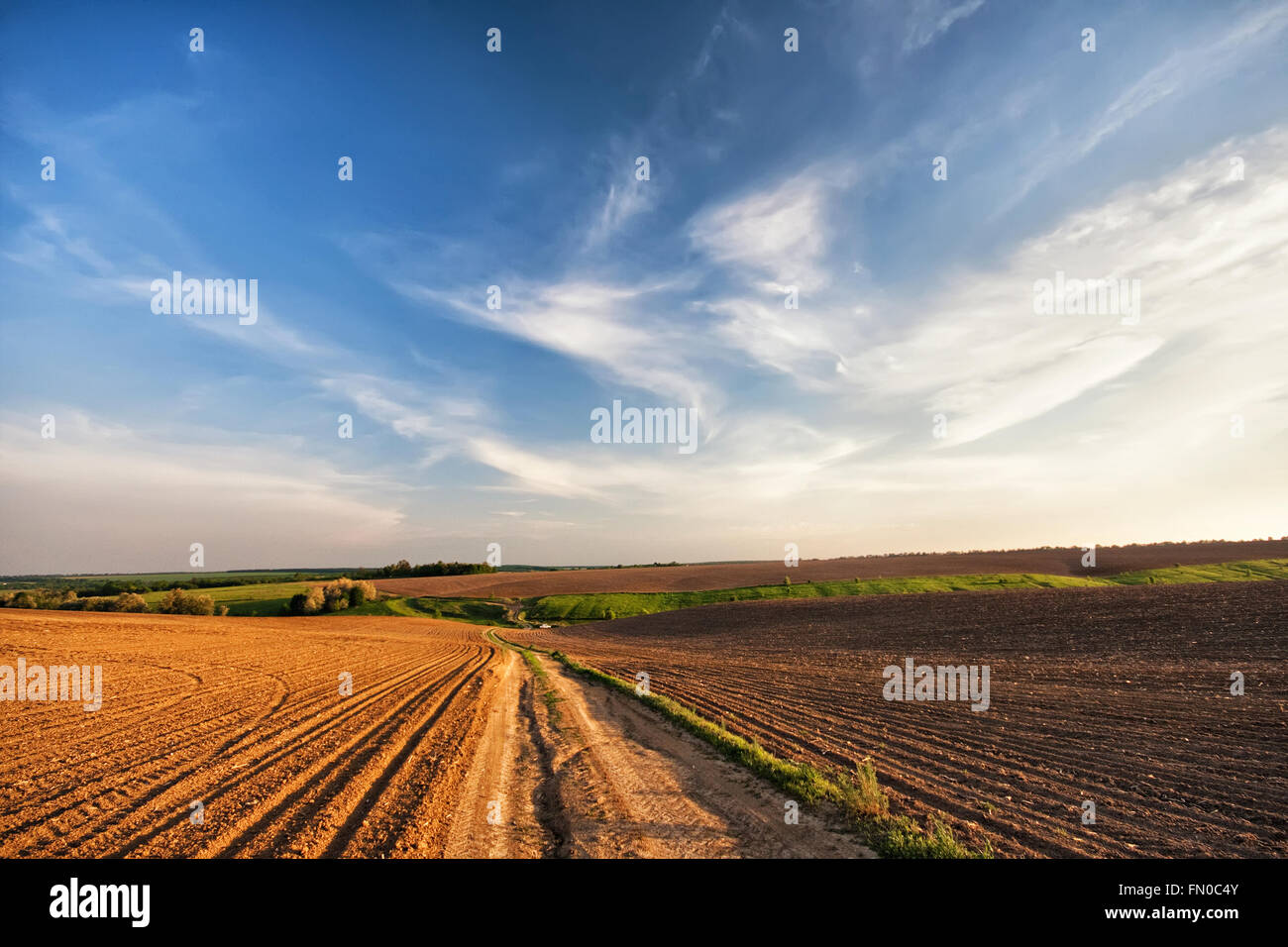 Strada di campagna in primavera i campi arabili. L'Ucraina Foto Stock