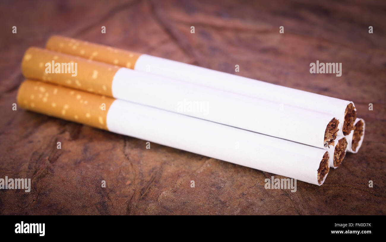 Primo piano della sigaretta con filtro sul tabacco secco Foto Stock
