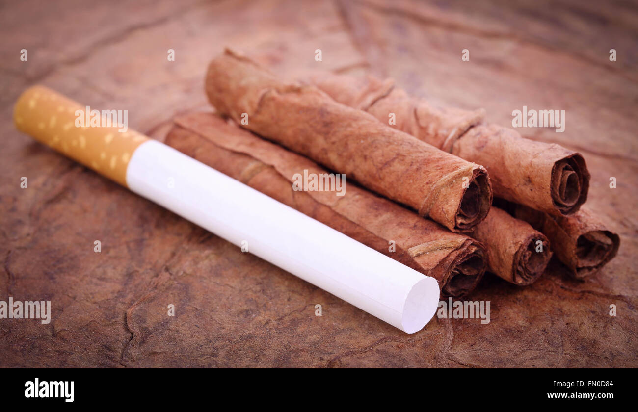 Primo piano della sigaretta con filtro sul tabacco secco Foto Stock