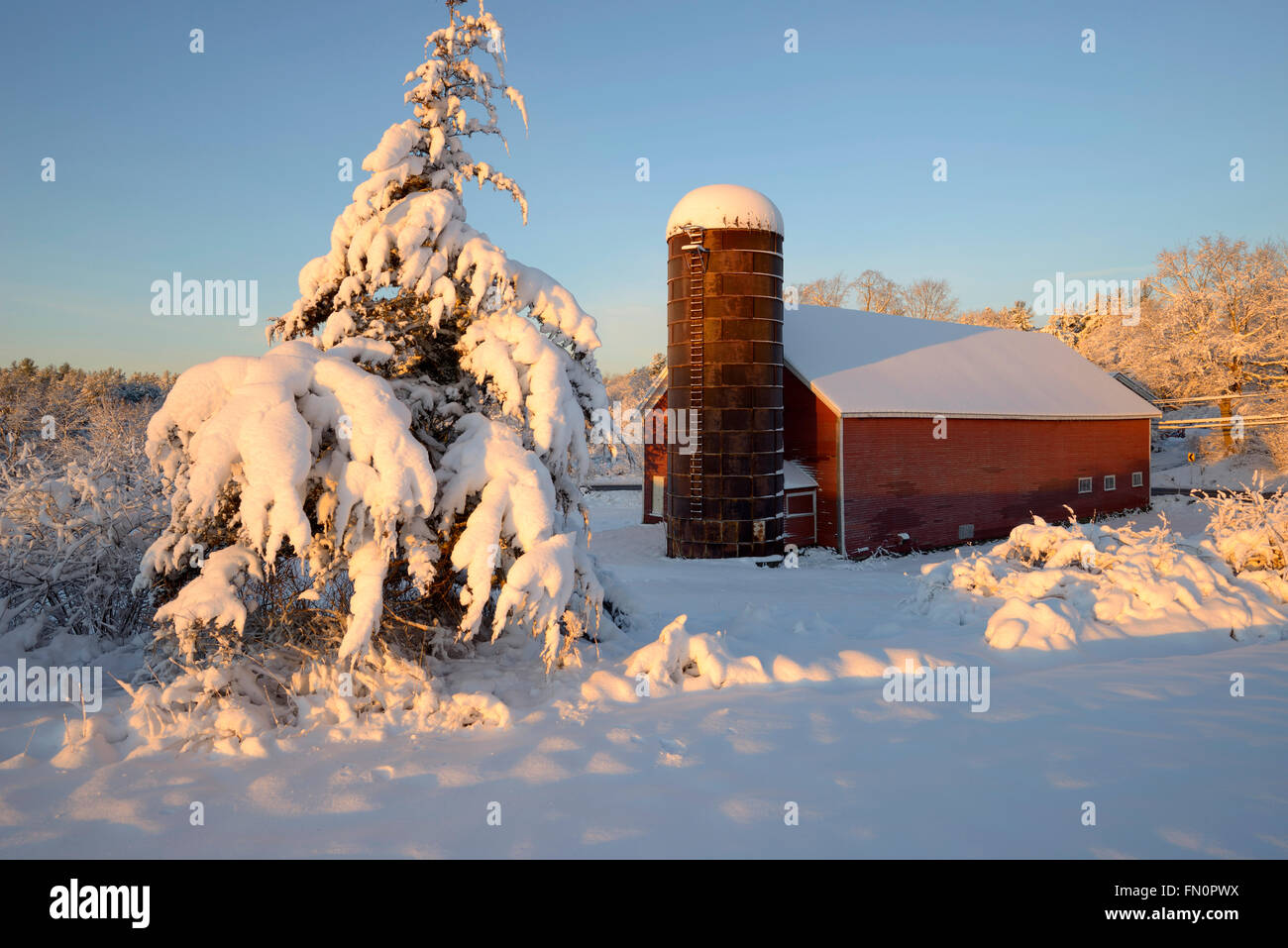 Raynes Fattoria Terre di conservazione in inverno dopo la tempesta di neve, Exeter, New Hampshire, STATI UNITI D'AMERICA Foto Stock