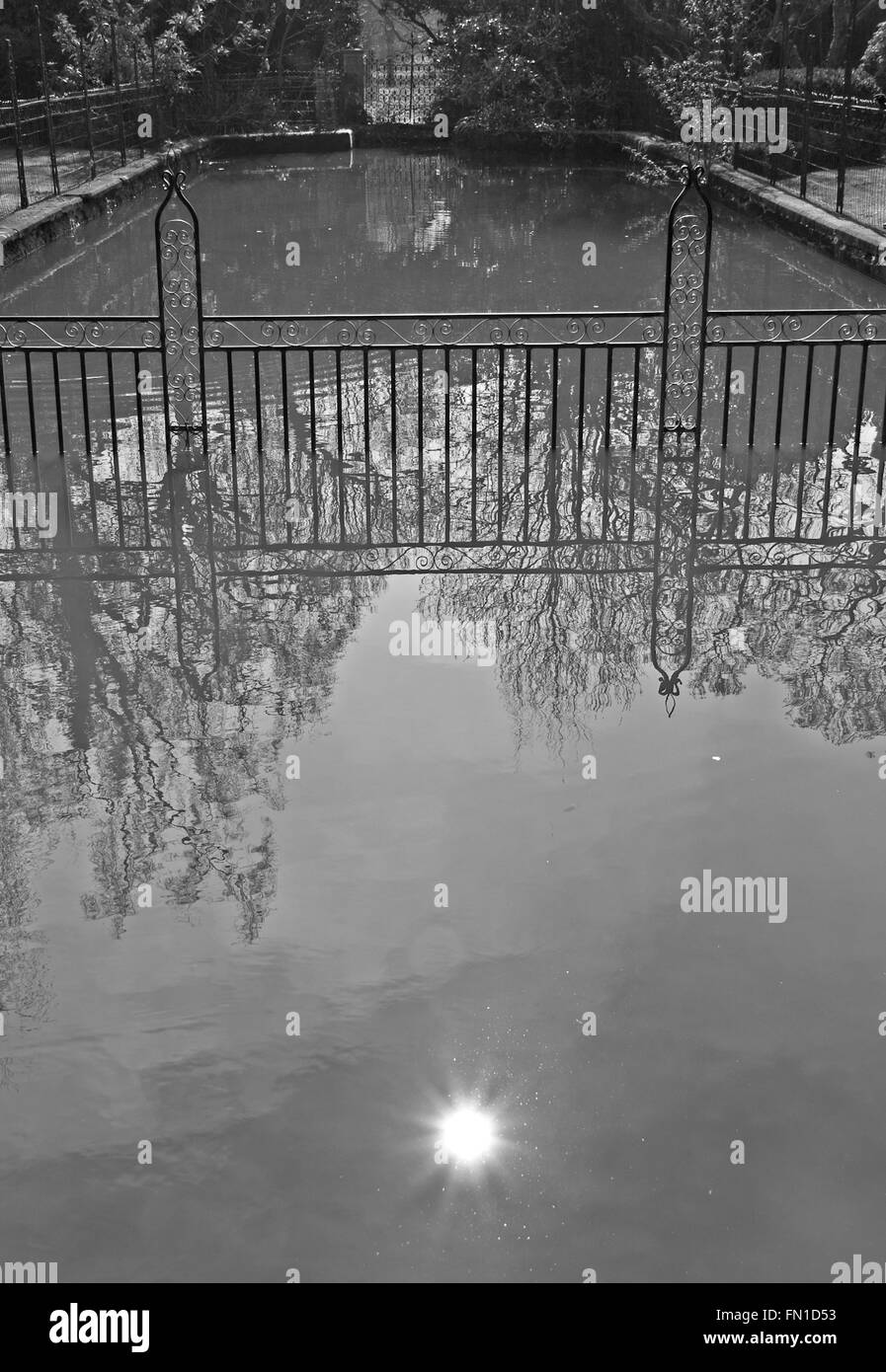 Riflessi di sole in un giardino inglese piscina. Foto Stock