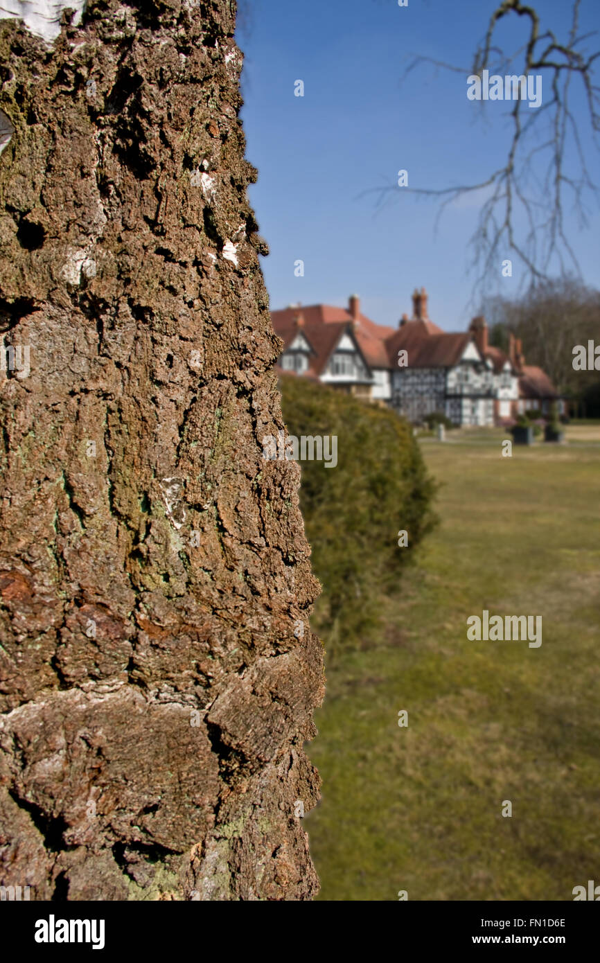 Corteccia di albero in un idilliaco scena inglese Foto Stock