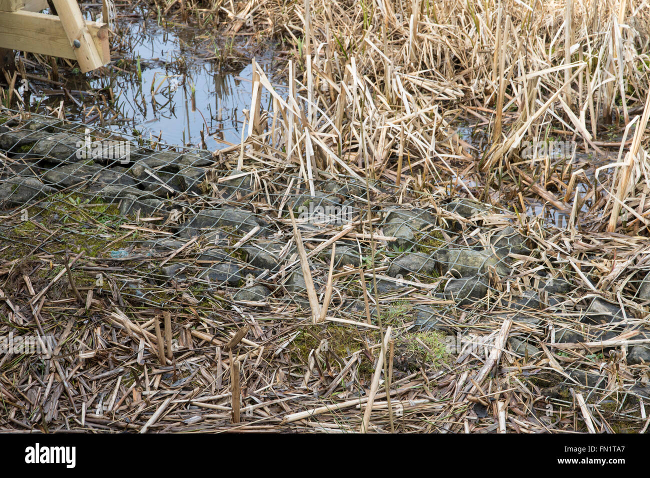 Pietra e Metallo gabions la formazione di base per il ponte di legno in St Michaels Mead, Herts. Foto Stock