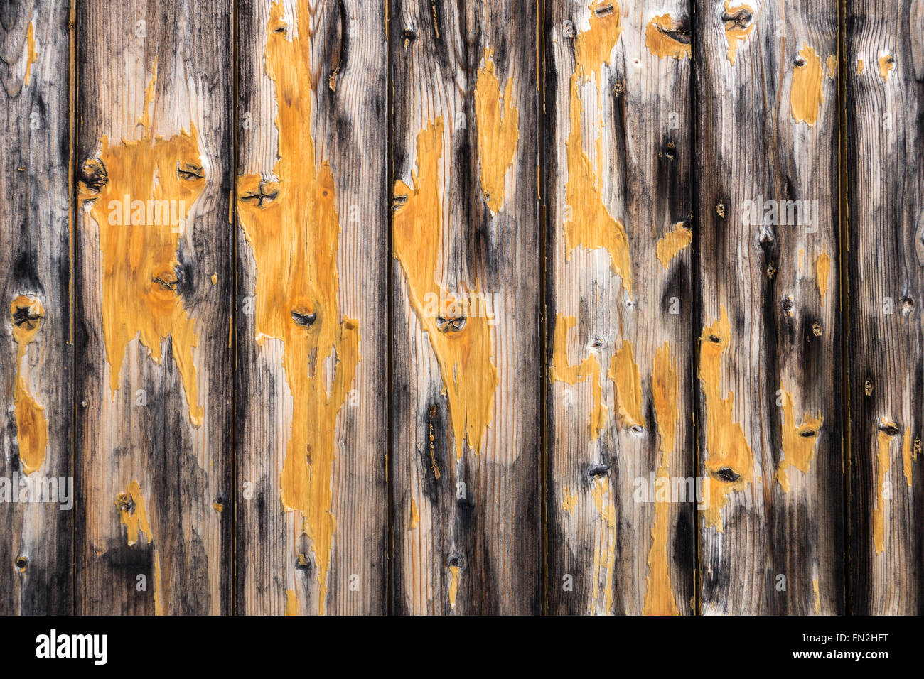 Scheda verticale Parete in grigio e nero con resti di vernice gialla. Preso come uno sfondo di close-up. Foto Stock Scheda verticale Parete in grigio e nero con resti di vernice gialla. Preso come uno sfondo di close-up. Foto Stock