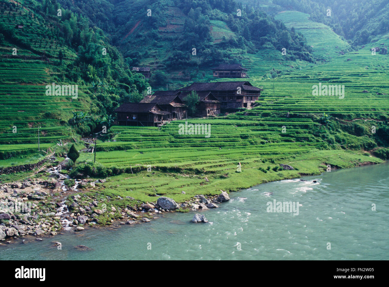 Risaie a terrazze, Longsheng, provincia di Guangxi, Cina Foto Stock