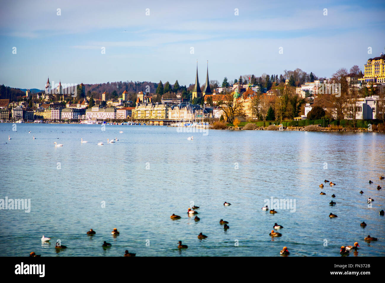 Affascinante la vista del lago di Lucerna in Svizzera in una giornata di sole Foto Stock