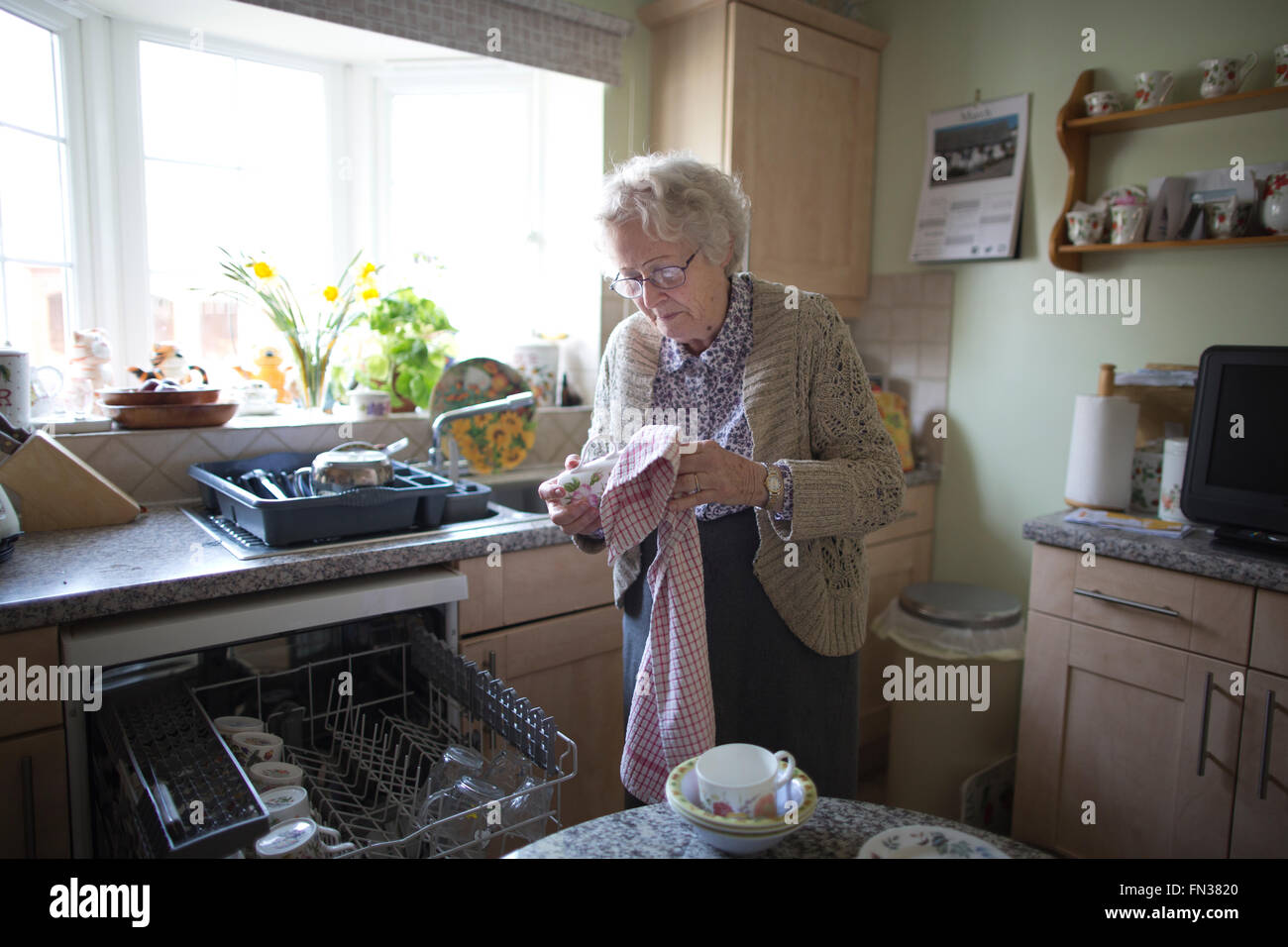 La vecchiaia titolare di pensione o di rendita che vivono da soli in Inghilterra, Regno Unito Foto Stock