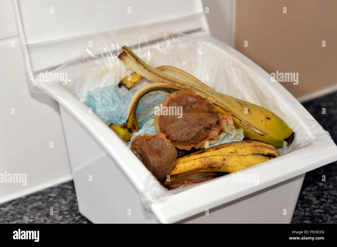 Cucina rifiuti alimentari in un lidded cassone di raccolta con carta, bustine di tè e bucce di banana per il riciclaggio su un mucchio di composto. Foto Stock