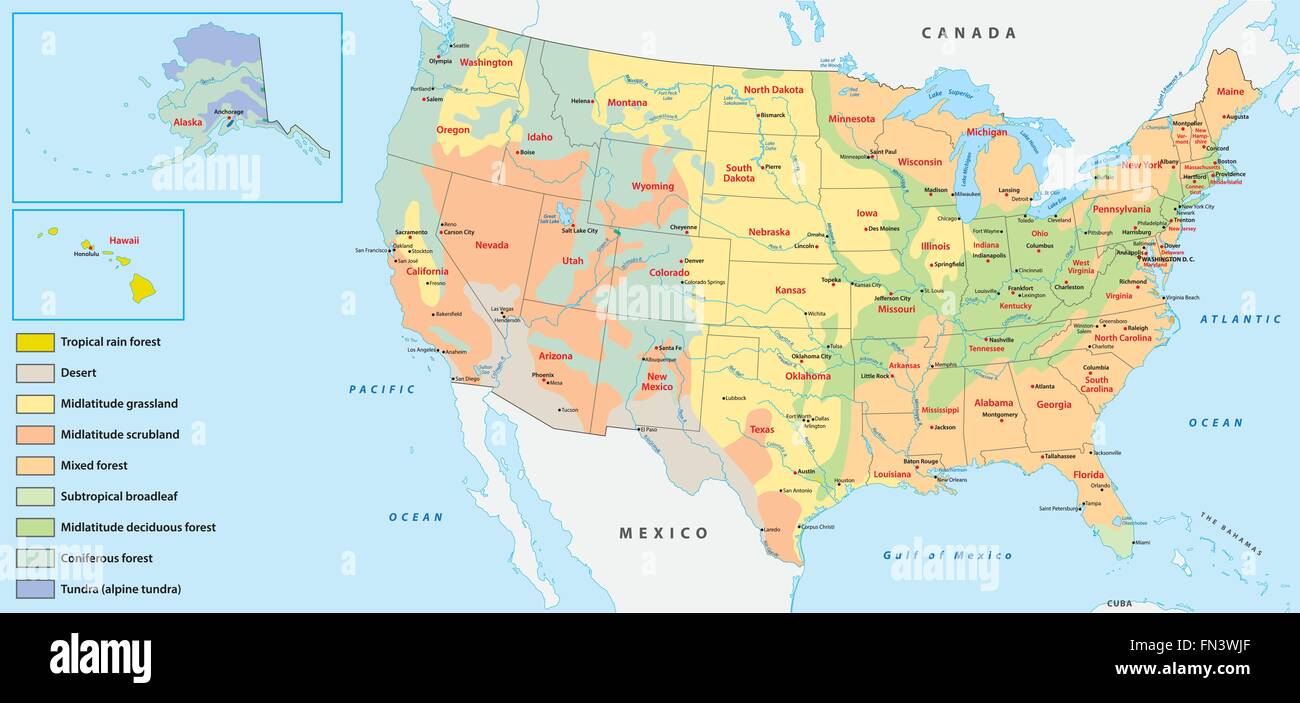 Mappa della vegetazione degli stati uniti d'America Illustrazione Vettoriale