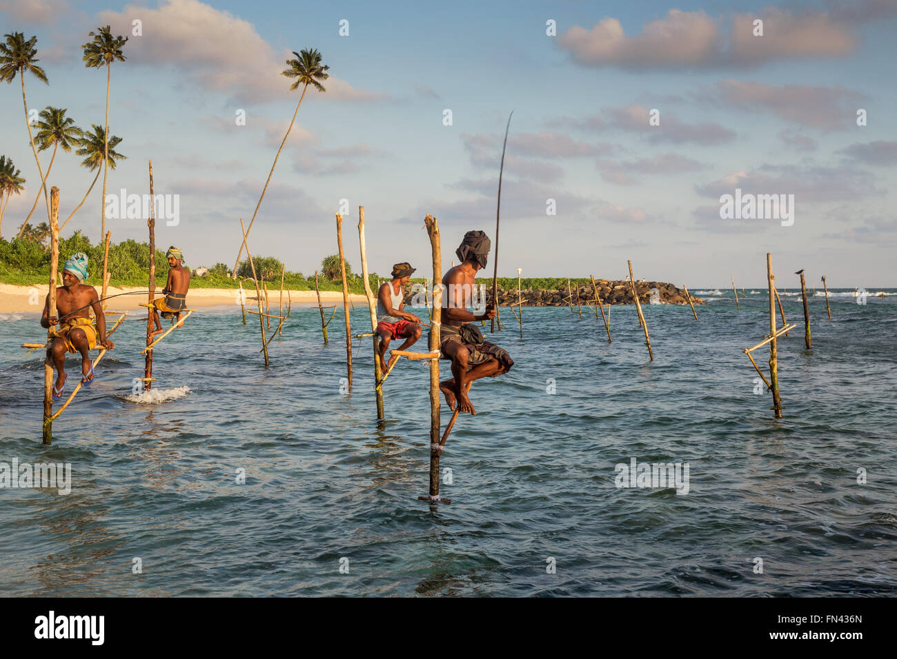 Il governo dello Sri Lanka stilt la pesca, Sri Lanka stilt pescatori al tramonto, Koggala Beach, Sri Lanka, Asia Foto Stock