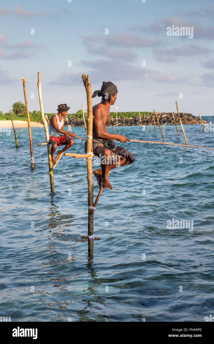 Il governo dello Sri Lanka stilt la pesca, Sri Lanka stilt pescatori al tramonto, Koggala Beach, Sri Lanka, Asia Foto Stock