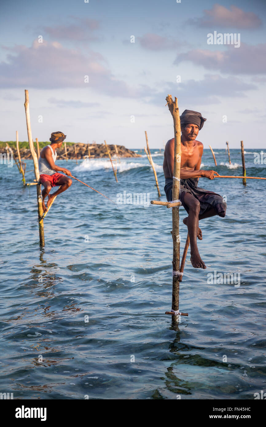 Il governo dello Sri Lanka stilt la pesca, Sri Lanka stilt pescatori al tramonto, Koggala Beach, Sri Lanka, Asia Foto Stock