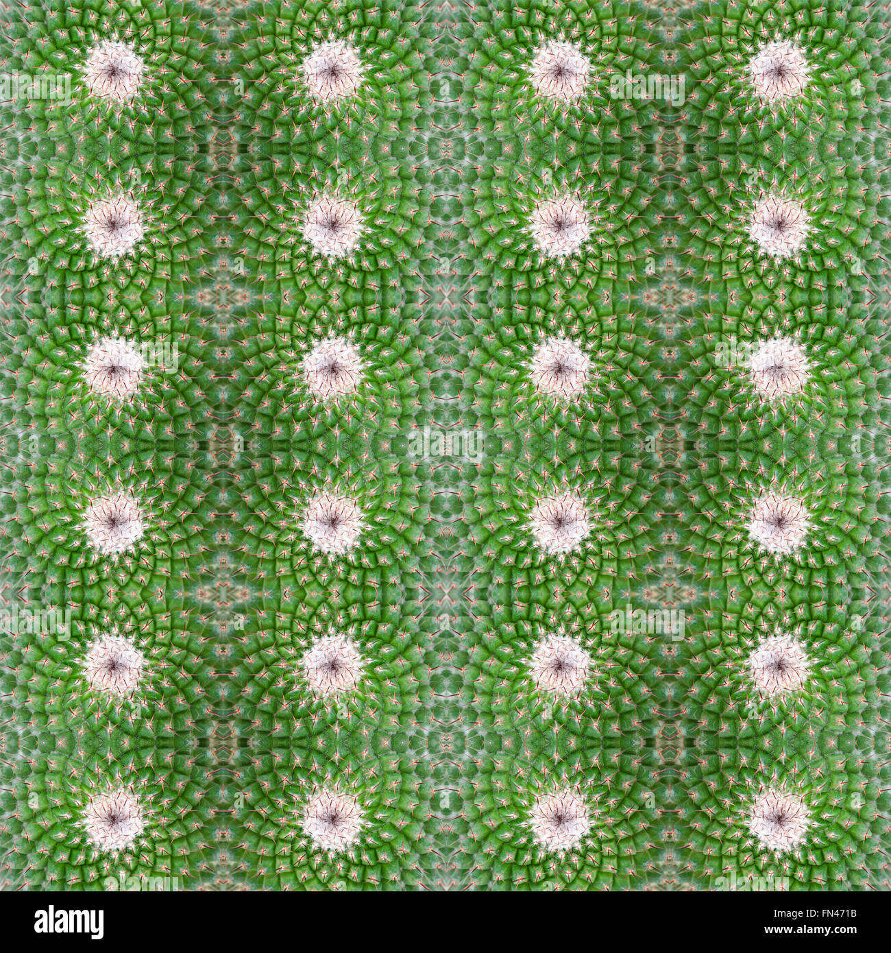 Piante succulente pattern seamless sfondo Foto Stock