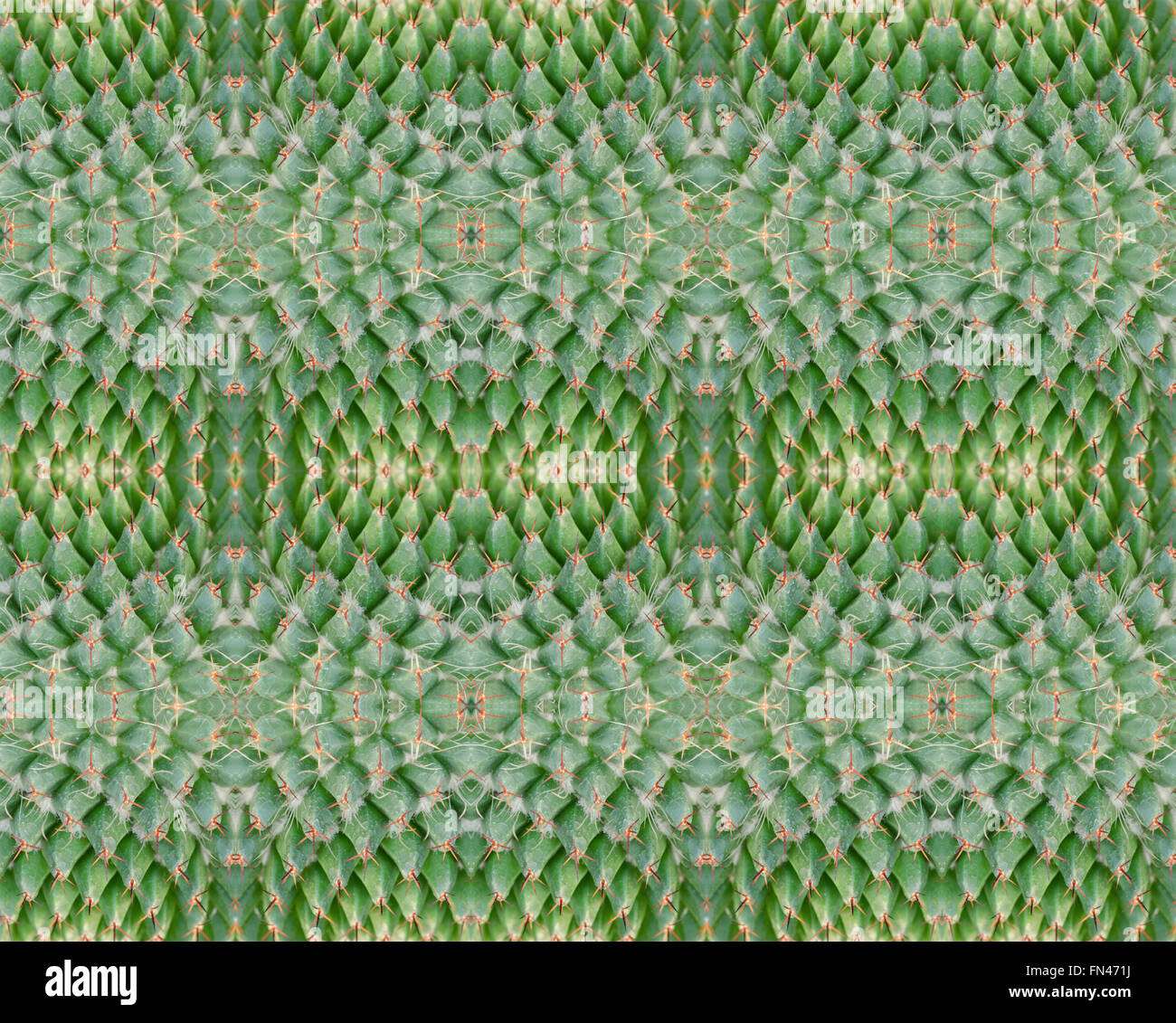 Piante succulente pattern seamless sfondo Foto Stock