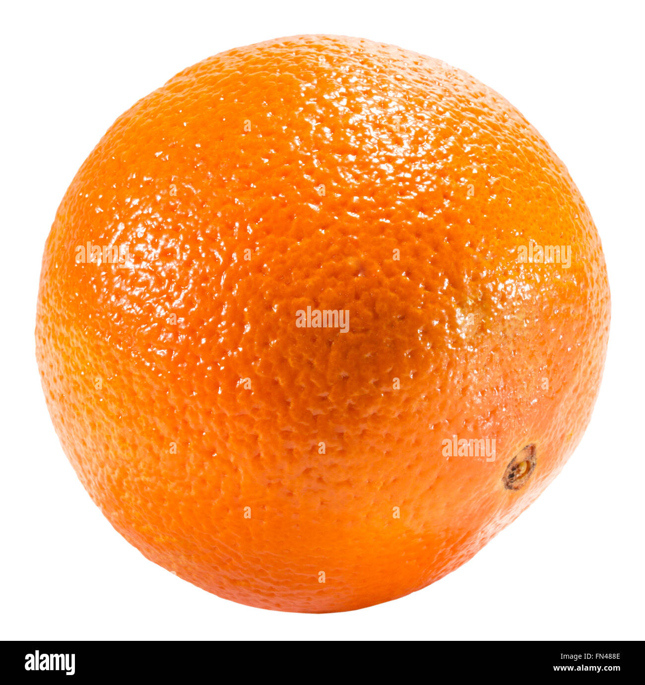 Isolato di colore arancione su sfondo bianco. Foto Stock