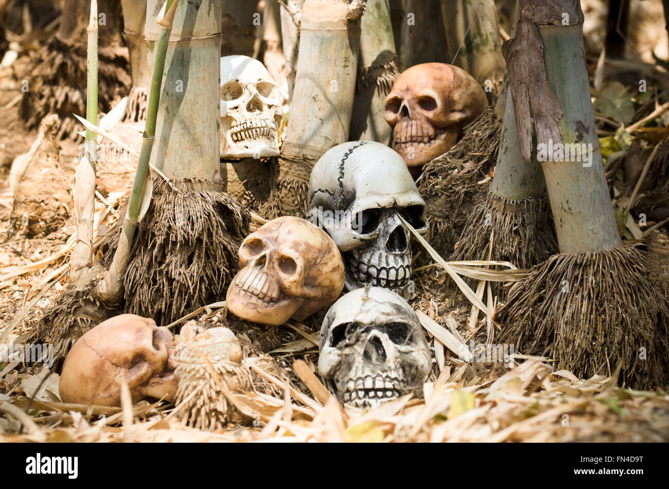 Ancora la vita di genocidio teschi umani sinistra sotto la struttura di bambù Foto Stock