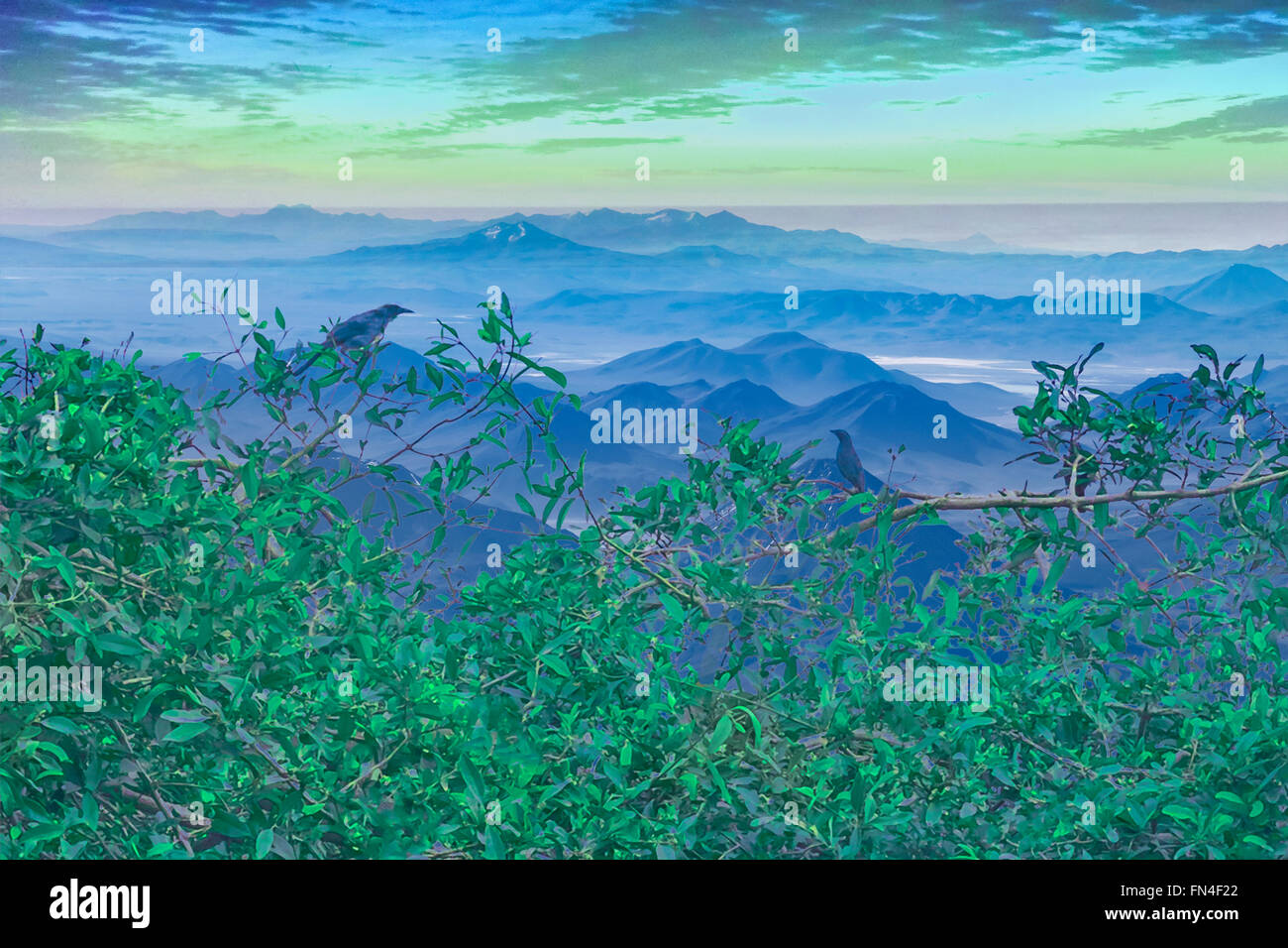 Digital photo collage tecnica fantasy paesaggio con uccelli in alto o un albero e le montagne con cielo molto nuvoloso in background. Foto Stock