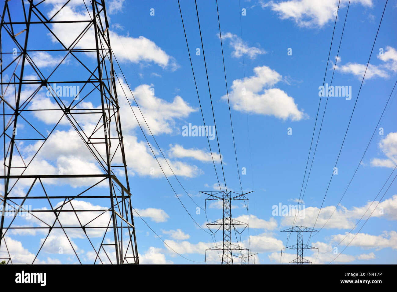 Linee elettriche ad alta tensione forniscono un servizio affidabile per la Chicago suburbana area. Wayne, Illinois, Stati Uniti d'America. Foto Stock