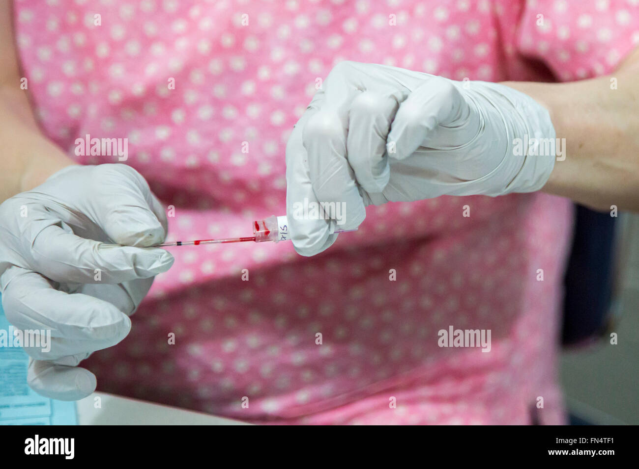 Selce, Michigan - Medical technologist Peggy Abram prove di campioni di sangue di pietra focaia residenti per la presenza di piombo. Foto Stock
