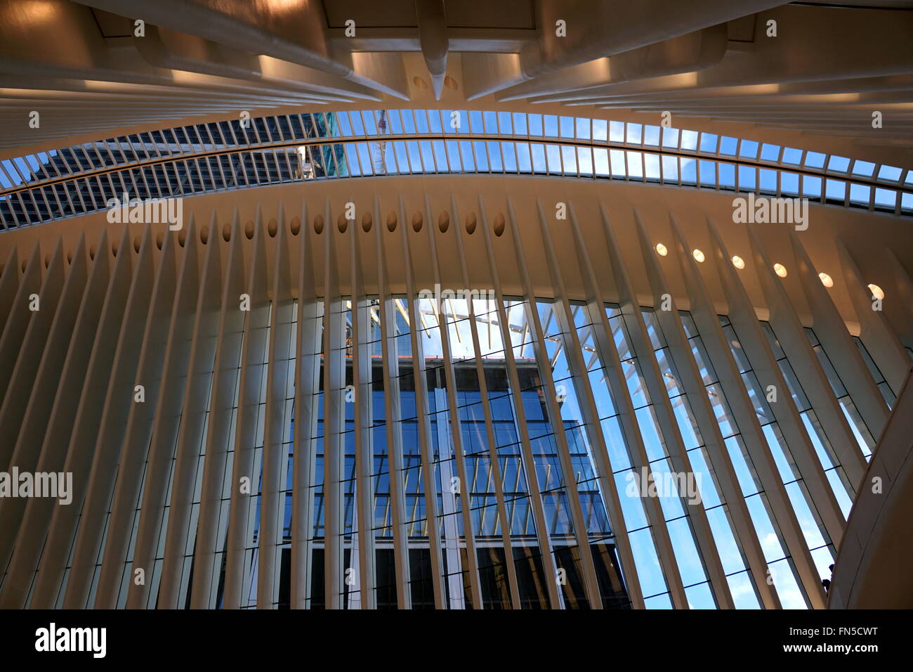 Guardando attraverso il vetro del soffitto e delle pareti all'interno del WTC Oculus, New York City, NY, STATI UNITI D'AMERICA Foto Stock Guardando attraverso il vetro del soffitto e delle pareti all'interno del WTC Oculus, New York City, NY, STATI UNITI D'AMERICA Foto Stock