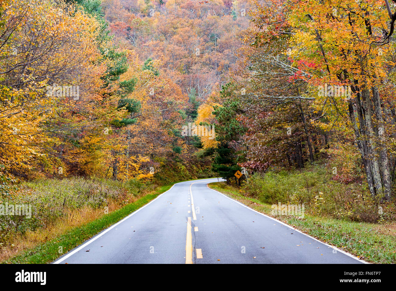Shenandoah fogliame colori, West Virginia, USA Foto Stock