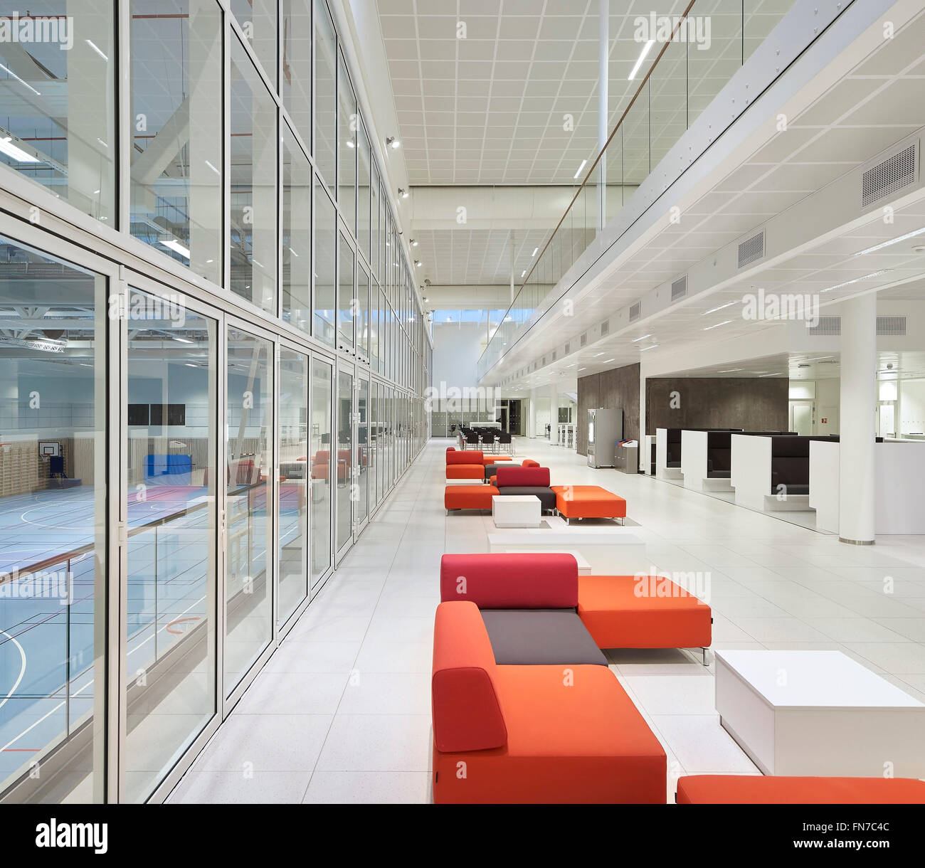 Piano terra area comune con vista della sala multiuso. Oslo Cluster di cancro (OCCI), Oslo, Norvegia. Architetto: DARK Arkitekter, 2 Foto Stock