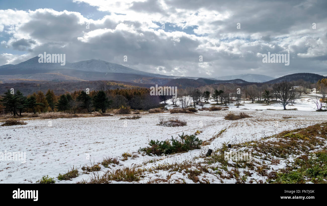 La prefettura di Aomori, regione di Tohoku, Giappone 2014 Foto Stock