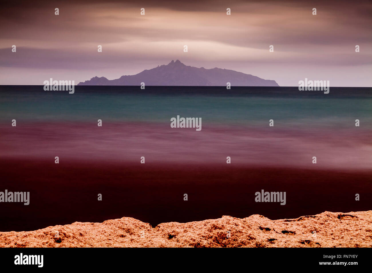 Alghe rosse in mare, waipu cove, waipu, orate bay, northland e Nuova Zelanda Foto Stock
