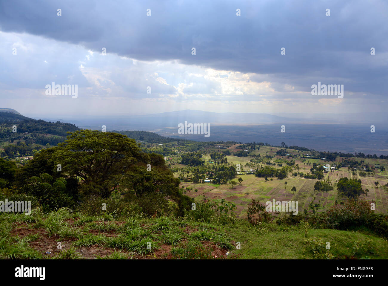 Africa - Kenya: La Rift Valley orientale africana guardando a nord-ovest di Limuru oltre le terrazze coltivate verso il Ngong Hills e a Naivasha Foto Stock