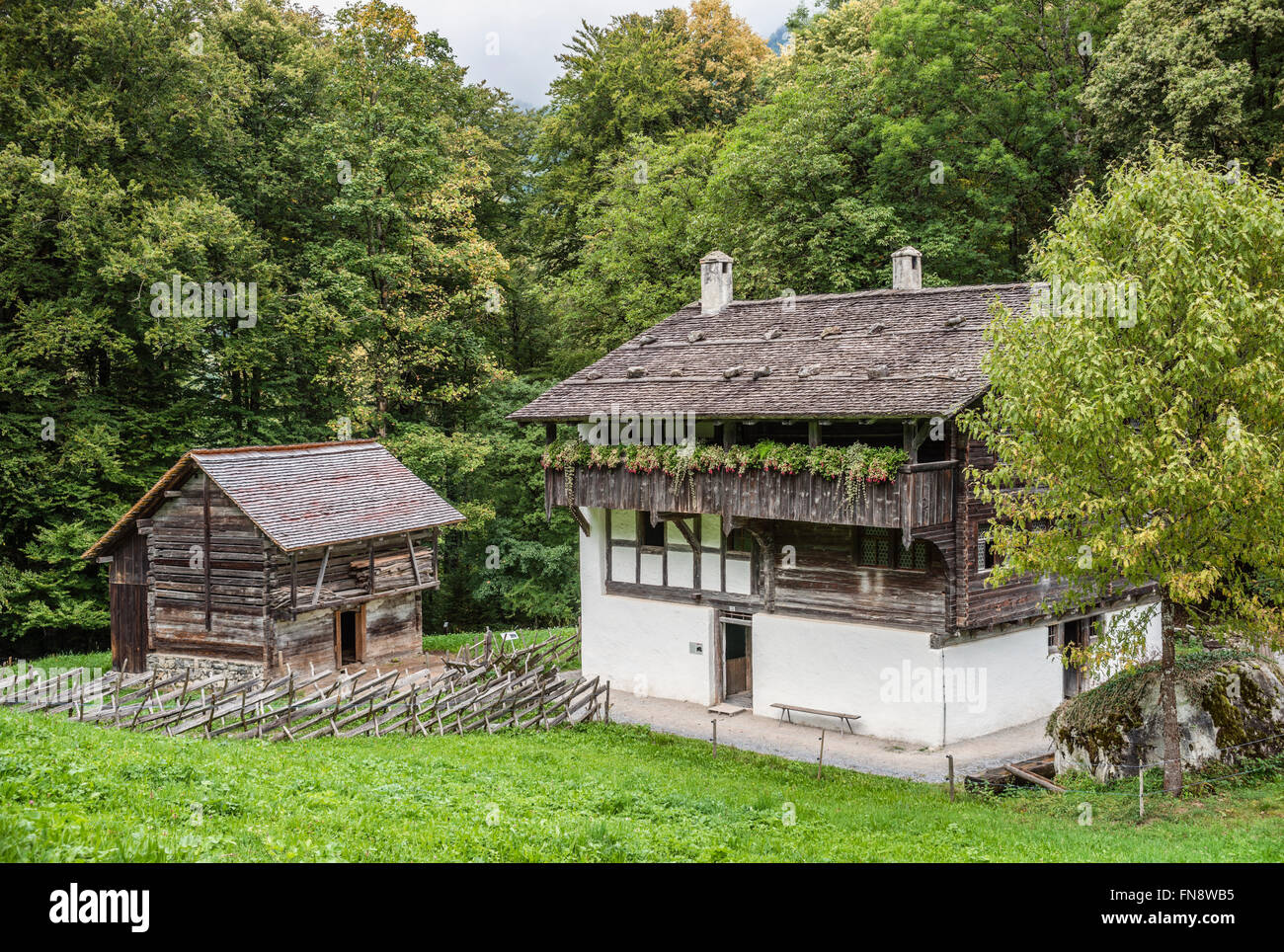 Agriturismo al Museo all'aperto Ballenberg, Berner Oberland, Svizzera Foto Stock