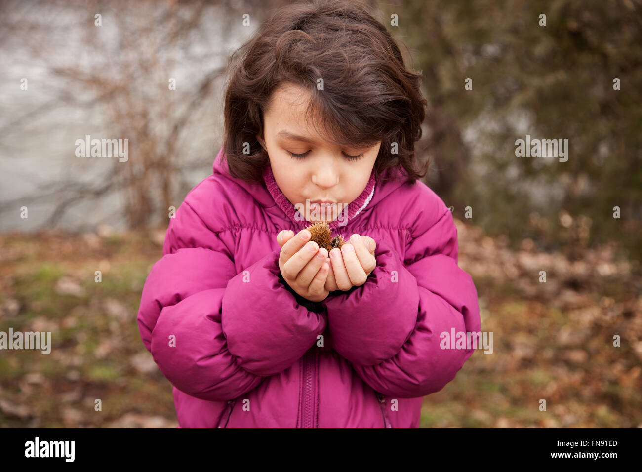 Ragazza che gioca con un castagno Foto Stock