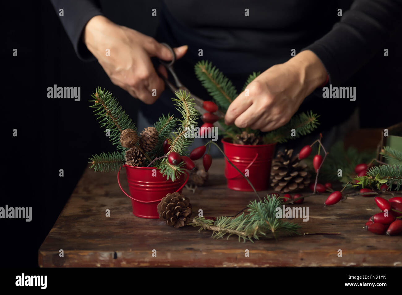 Far Natale decorazione dalla rosa canina, pigne e rami d abete Foto Stock
