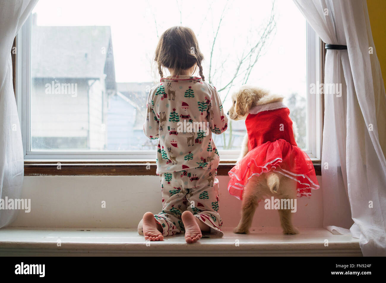 Ragazza in pigiama guardando fuori dalla finestra con il golden retriever cucciolo di cane Foto Stock