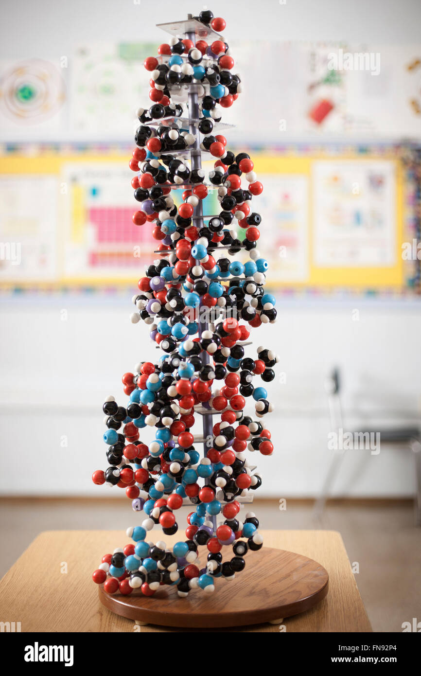 Una torre di atomi legati insieme in un modello scientifico in un'aula. Foto Stock