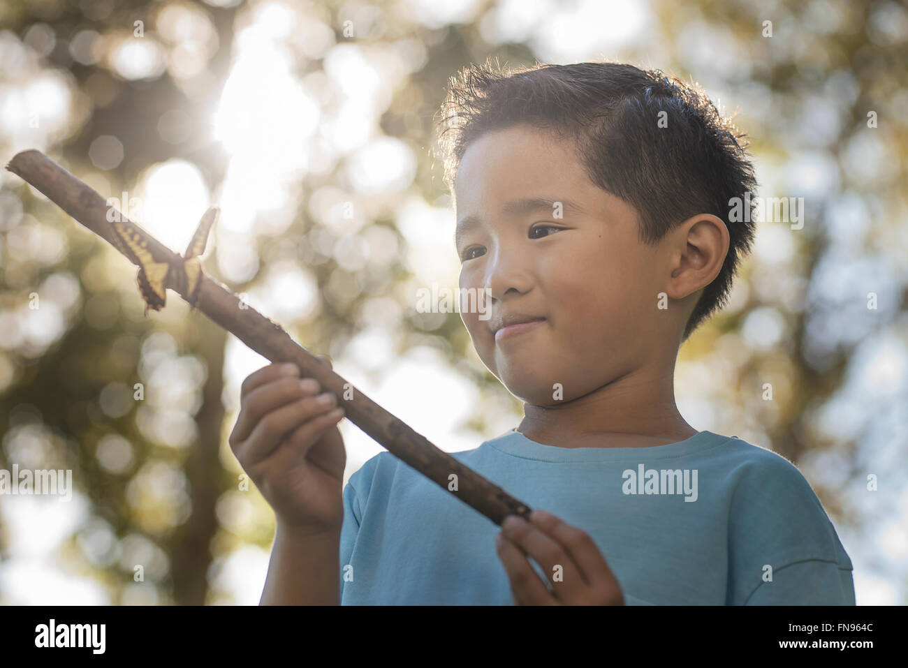Un ragazzo in possesso di un bastone con una farfalla colorata arroccato su di esso. Foto Stock