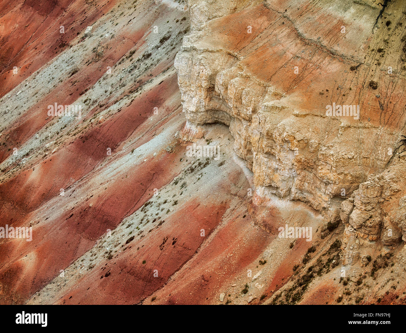 Canyon lands in Cedar Breaks National Monument, Utah Foto Stock