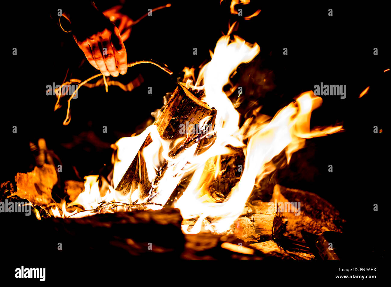 Close-up di mettere le mani su rametti di fuoco di campo Foto Stock