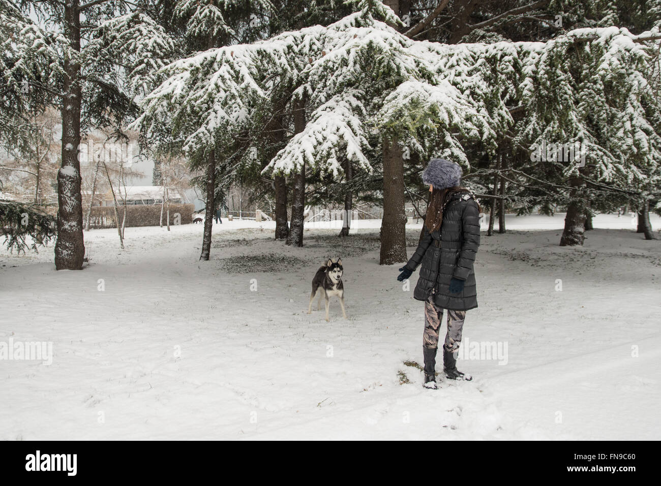 Donna prendendo il suo cane per una passeggiata nel parco in inverno Foto Stock