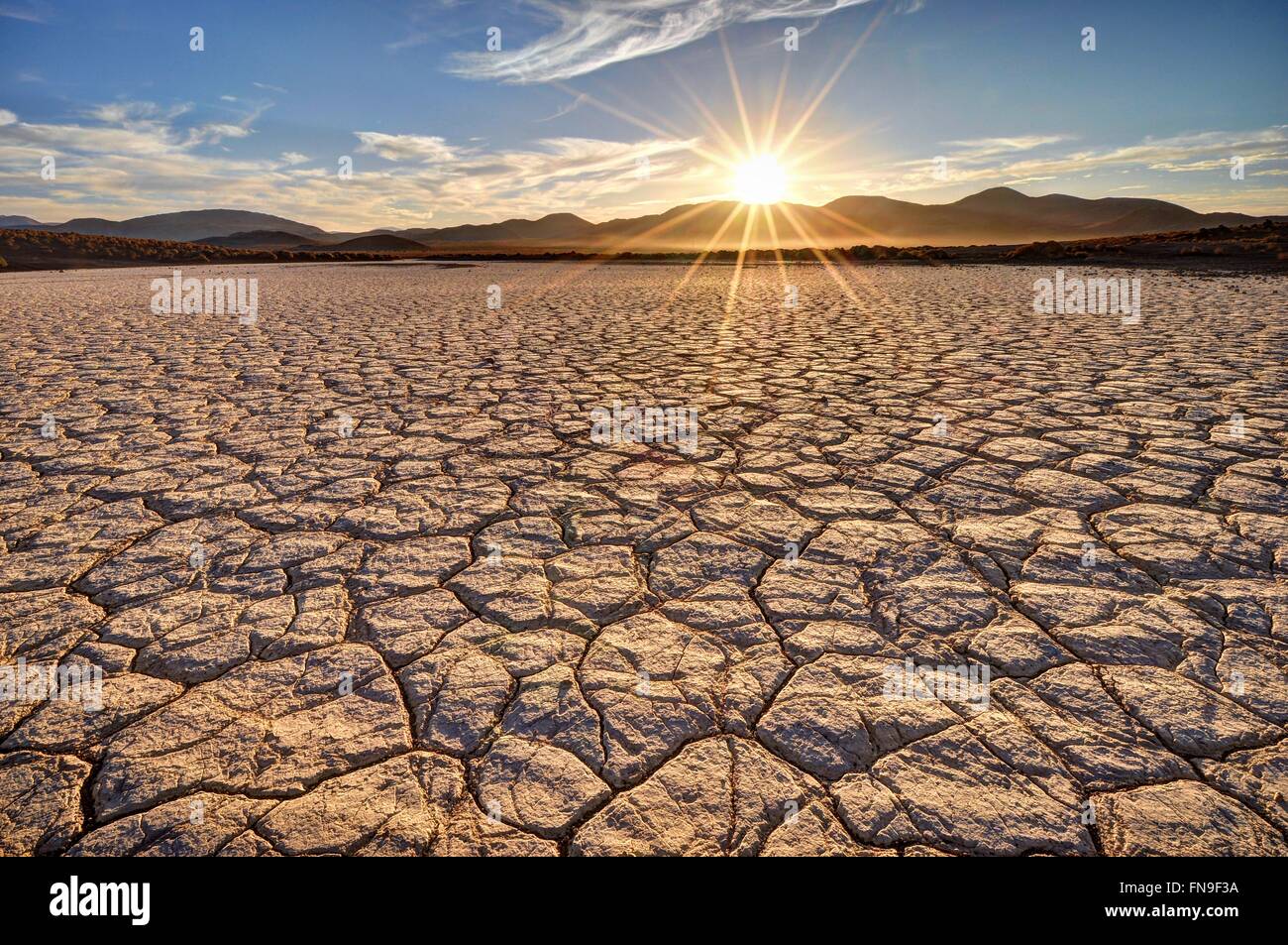 Deserto Mojave Sunrise Foto Stock