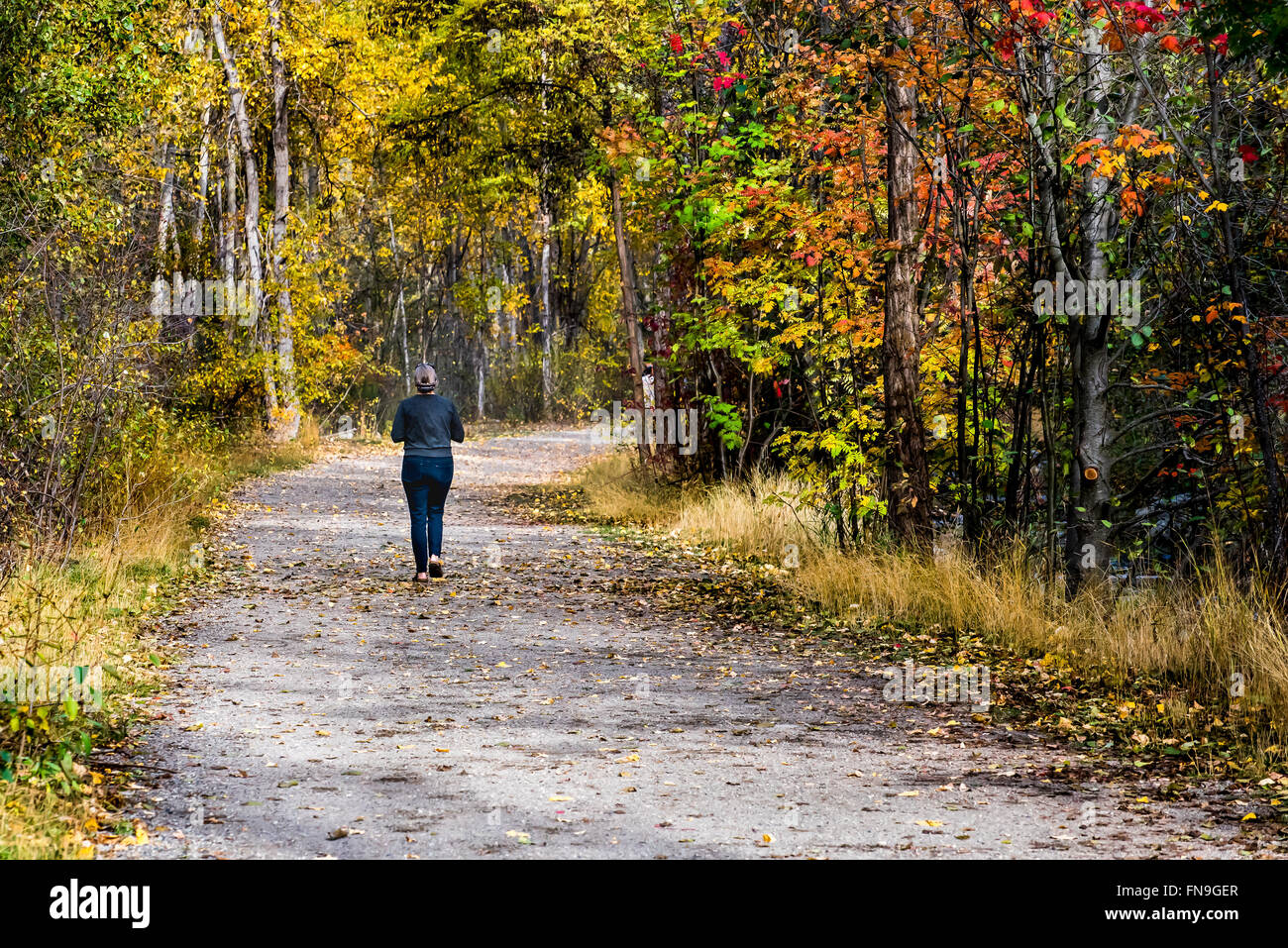 La donna a fare jogging nel parco, British Columbia, Canada Foto Stock