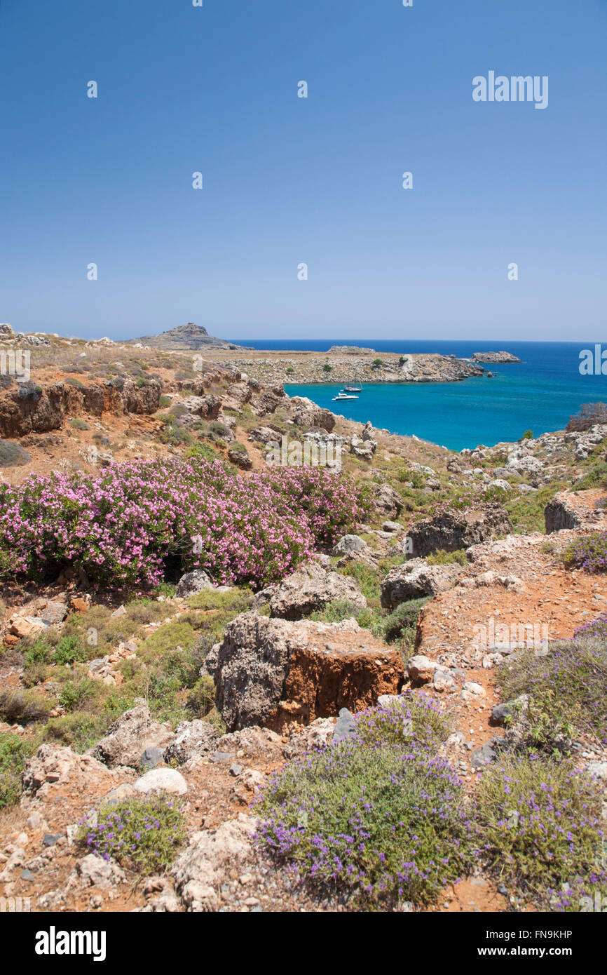 Lindos, Rodi, Egeo Meridionale, Grecia. Vista lungo la costa rocciosa al di sopra di Lindos Bay. Foto Stock